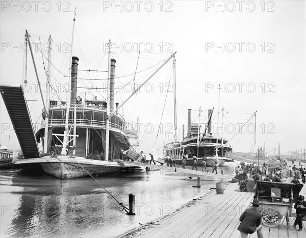 Loading Steamers during High Water