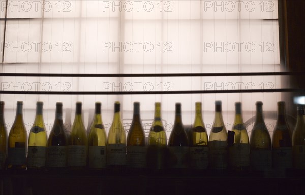 Row of Wine Bottles