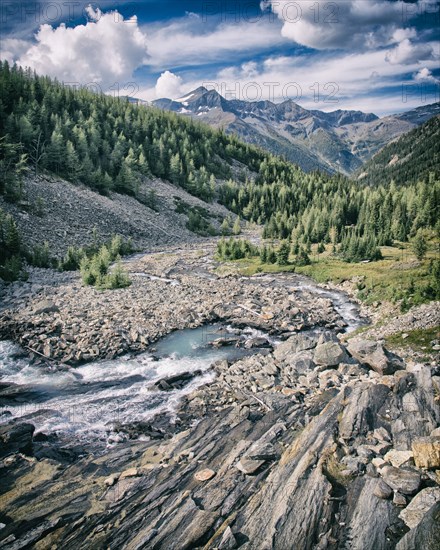 Mountain Stream