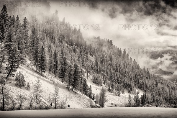 Silver Spring Lake and Foggy Mountainside in Winter