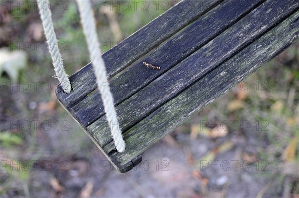 Corner of Garden Swing