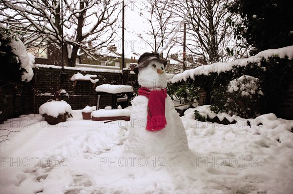 Snowman in Backyard