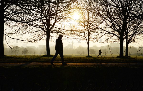 Silhouetted Figure in Park at Sunset