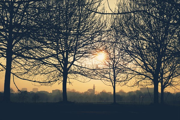 Orange Sunset through Bare Trees