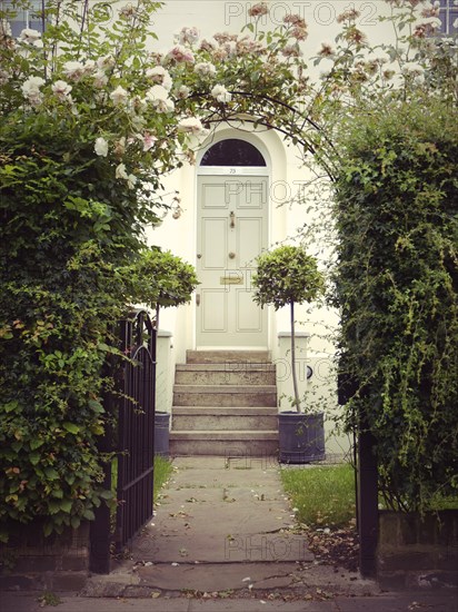 Residential Door with Raised Arch