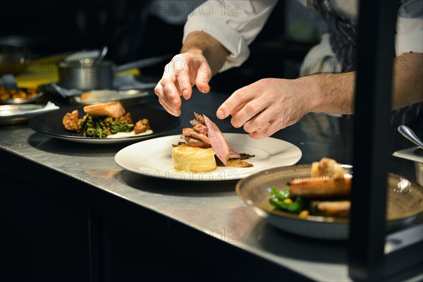 Chef plating Food in Restaurant