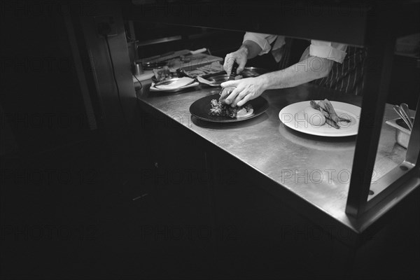 Chef plating Food in Restaurant Kitchen