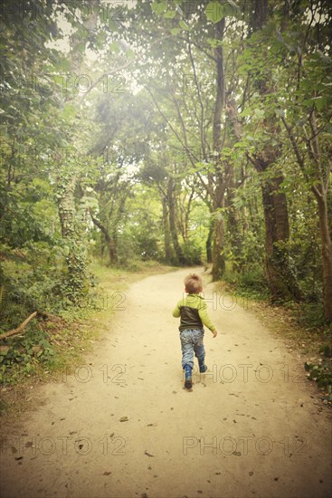 Rear View of Young Boy running down Woodland Path
