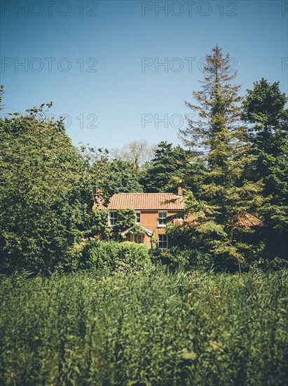 House hidden by Trees