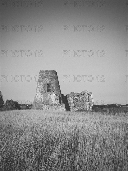 Ruins of St Benet's Abbey