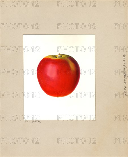 Red Apple