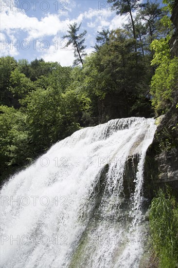 Low Angle View of Waterfall and Trees