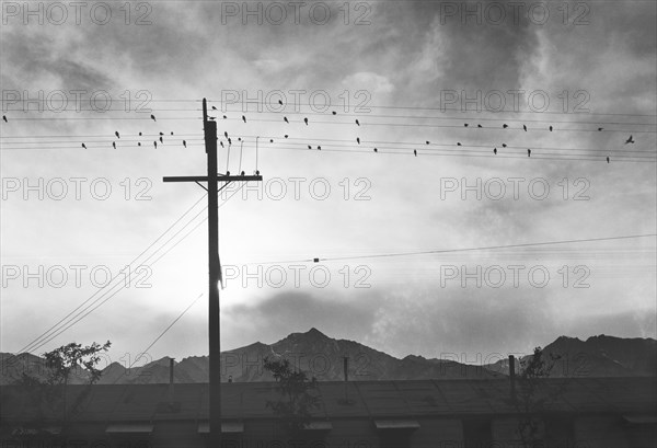 Manzanar Relocation Center from Tower, Sierra Nevada Mountains in Background, 1943