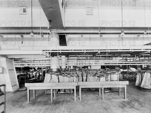 Mailing Division, U.S. Post Office, 1920