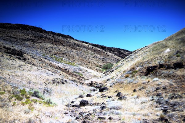 Remote Arid Hillside, Eastern Oregon,