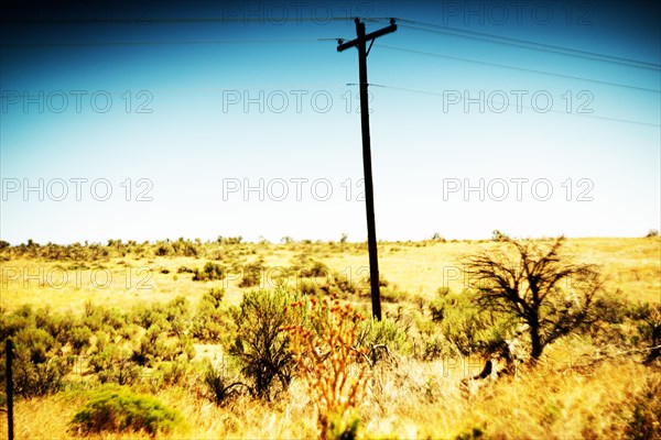 Utility Pole in Arid Landscape ,,