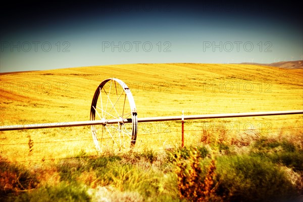 Agricultural Sprinkler in Golden  Field ,,