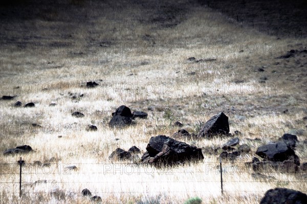 Arid Hillside Landscape,,