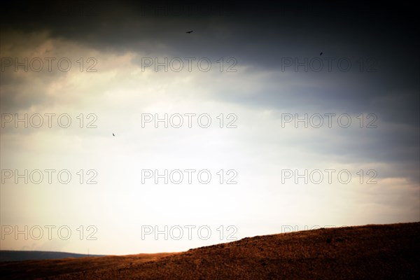 Remote Barren Landscape with Birds of Prey circling above,,