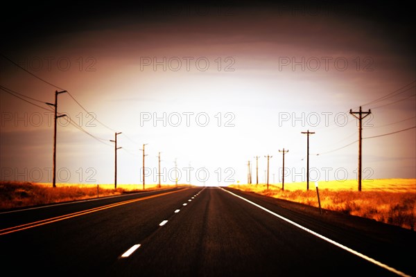 Empty Rural Highway, lined by Utility Poles,