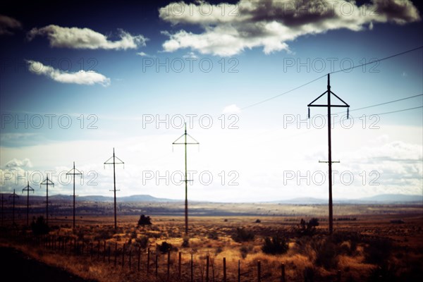 Utility Poles along Rural Highway,,