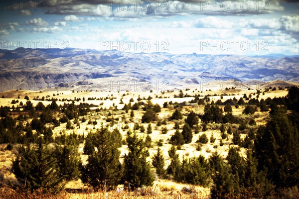 Rugged Landscape, Oregon,