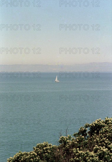 Sailboat in Bay,,