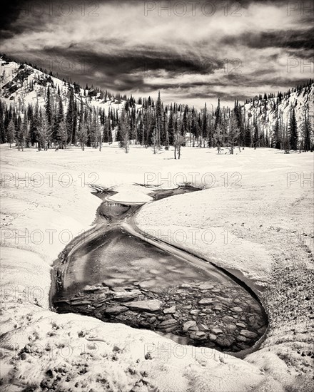 Small Tarn in Winter, Cranbrook,