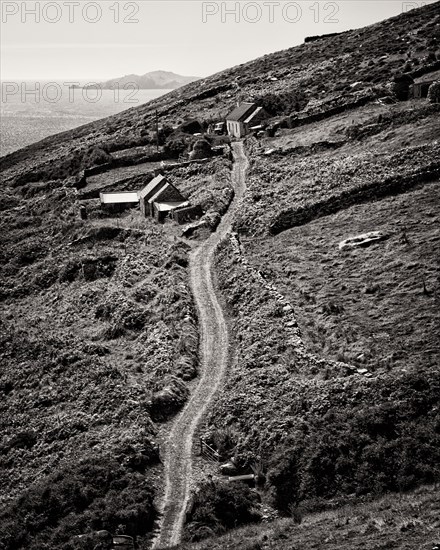 Rural Hillside Road and House, Slea Head,