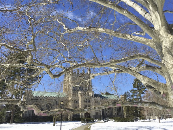 Thompson Memorial Library on Snowy Day, Vassar College,