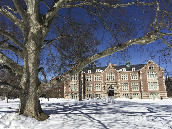 Rockefeller Hall on Snowy Day, Vassar College,