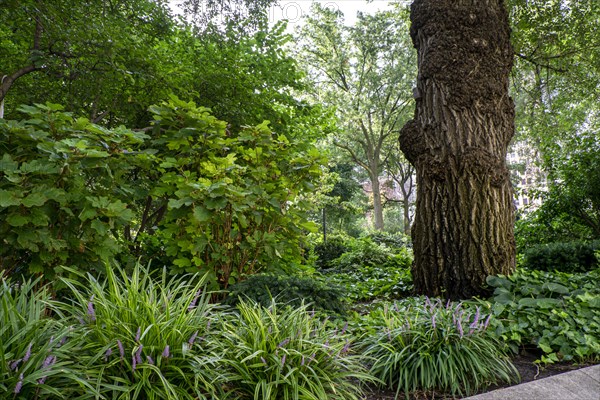 Gardens, Union Square Park,