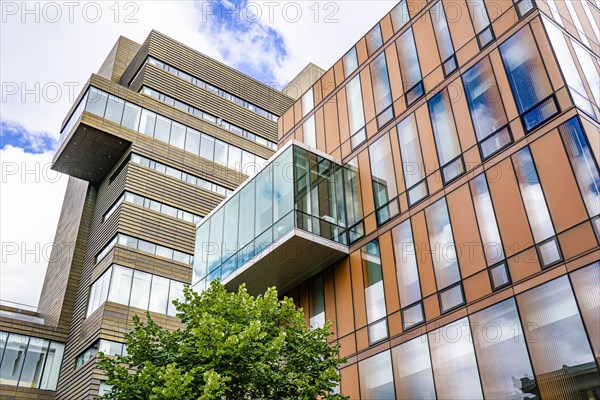 The Diana Center, Milstein Teaching and Learning Center,