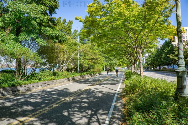 Cyclists and Joggers on Bike and Jogging Path along West Side Highway, New York City,