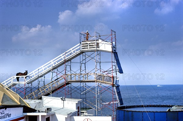 Diving horse, Steel Pier