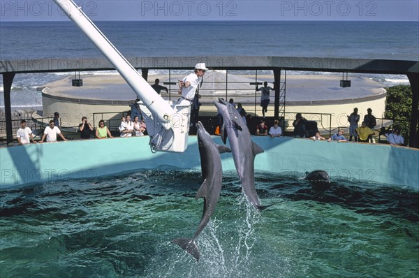 Marineland, Florida