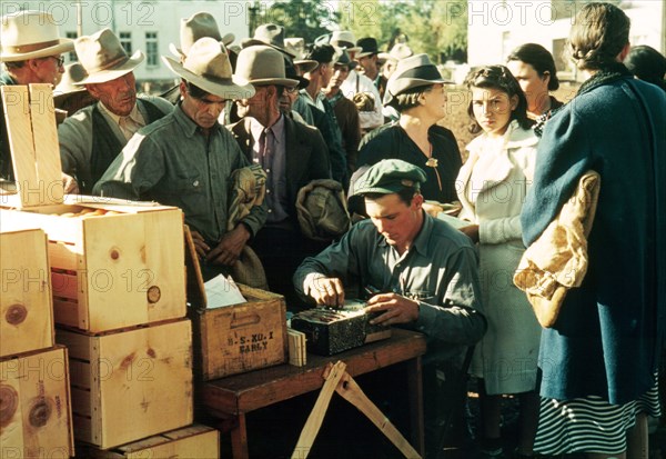 Distributing Surplus Commodities, St. Johns