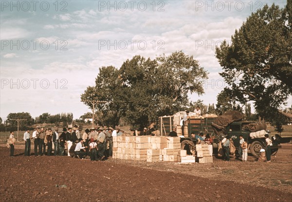 Distributing Surplus Commodities, St. Johns