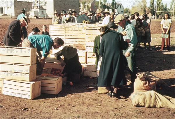 Distributing Surplus Commodities, St. Johns