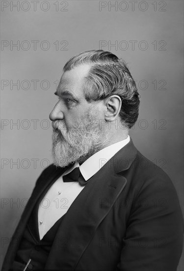 Leland Stanford (1824-1893), American Industrialist