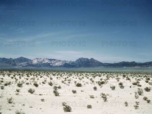 Mojave Desert, Cadiz