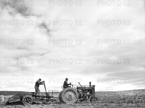 Tractor-Drawn Potato Digger at work on Farm near Caribou, Maine