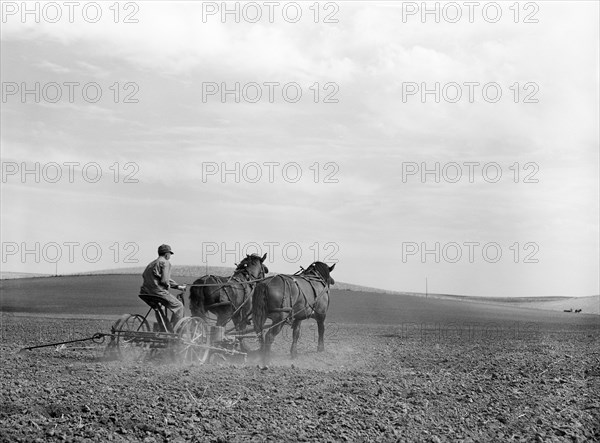 Farmer planting Corn, Monona County