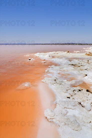 Pink Salt Lake, Torrevieja