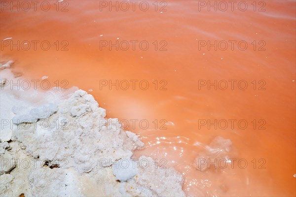 Detail of Pink Salt Lake, Torrevieja