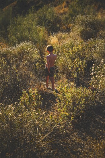 Rear View of Shirtless Boy walking down Hill through Thick Foliage,