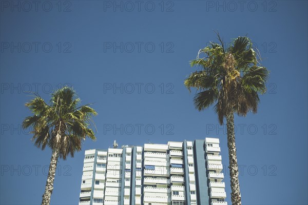 Apartment Building and Two Palm Trees against Blue Sky,