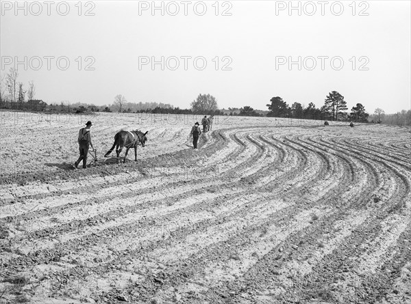 Farmers plowing and planting on Farm near Pacolet