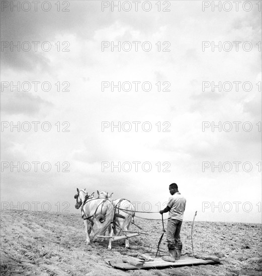 Farmer working in Field