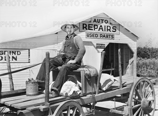 Farmer driving horse-drawn Wagon